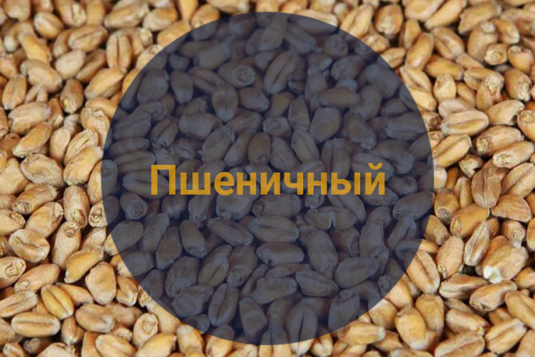 Солод весовой Пшеничный / Malt De Ble, 2-5 EBC (Soufflet)