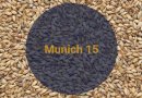 Солод весовой Мюнхенский 15 / Munich 15, 12-18 EBC (Soufflet)