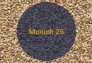 Солод Мюнхенский 25 / Munich 25, 20-30 EBC (Soufflet), 1 кг