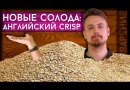 Солод Torrefied Wheat (Crisp), 1 кг